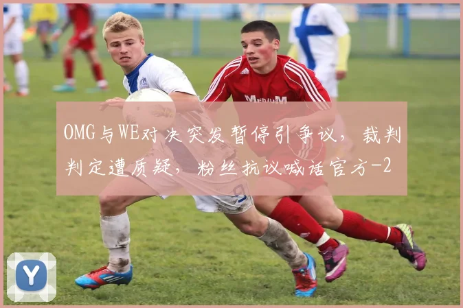 OMG与WE对决突发暂停引争议,裁判判定遭质疑,粉丝抗议喊话官方