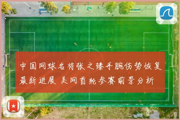 中国网球名将张之臻手腕伤势恢复最新进展 美网首轮参赛前景分析